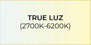 True light logo in Qatar.