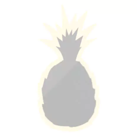 Pineapple shaped best quality frosted vanity mirror on a plain white background in Dubai.
