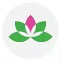 Yoga studio logo is a stylized green lotus blossom with a pink petal at the center.